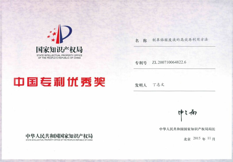 中国专利奖证书（个人）